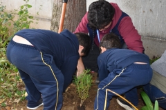 Dia-ecologico_2-60