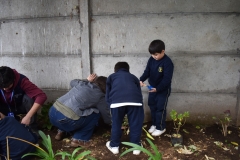 Dia-ecologico_2-61