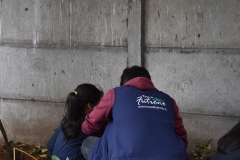 Dia-ecologico_2-64