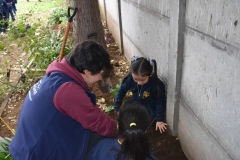 Dia-ecologico_2-65