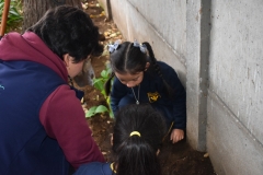 Dia-ecologico_2-66