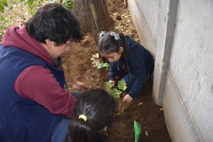 Dia-ecologico_2-67