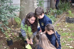 Dia-ecologico_2-7