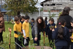 Dia-ecologico_2-72