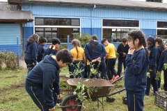 Dia-ecologico_2-77