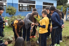 Dia-ecologico_2-78