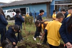 Dia-ecologico_2-79