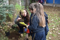 Dia-ecologico_2-8