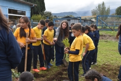 Dia-ecologico_2-80