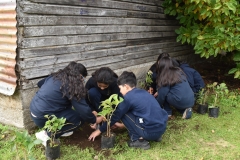 Dia-ecologico_2-81