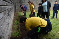 Dia-ecologico_2-85