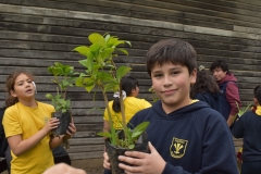 Dia-ecologico_2-87