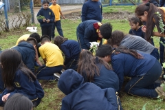 Dia-ecologico_2-93