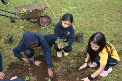 Dia-ecologico_2-96