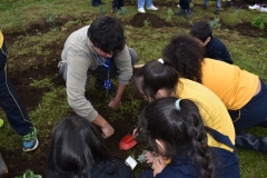 Dia-Ecologico-1-121