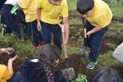 Dia-Ecologico-1-122