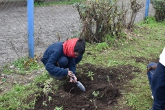 Dia-Ecologico-1-129