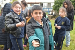 Dia-Ecologico-1-130