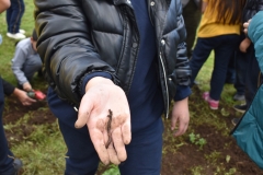 Dia-Ecologico-1-131