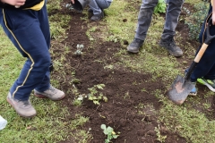 Dia-Ecologico-1-132