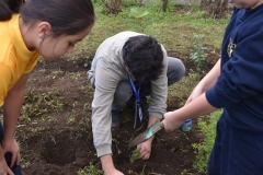 Dia-Ecologico-1-133