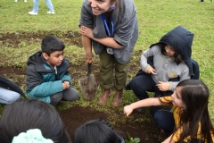 Dia-Ecologico-1-136
