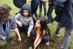 Dia-Ecologico-1-138
