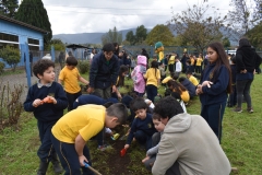 Dia-Ecologico-1-20