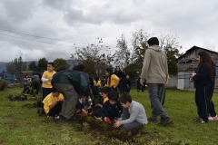Dia-Ecologico-1-22