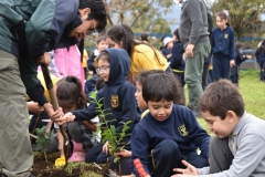 Dia-Ecologico-1-23