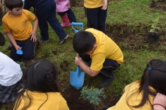 Dia-Ecologico-1-24