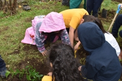 Dia-Ecologico-1-25