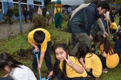 Dia-Ecologico-1-26