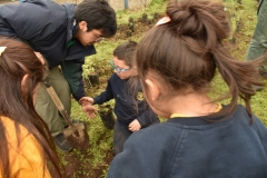 Dia-Ecologico-1-27