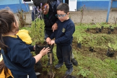Dia-Ecologico-1-29