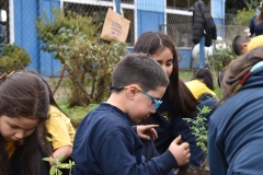 Dia-Ecologico-1-46