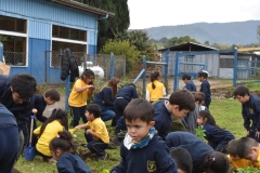 Dia-Ecologico-1-50
