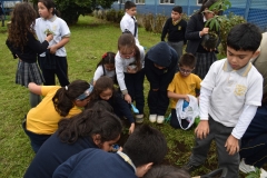 Dia-Ecologico-1-64