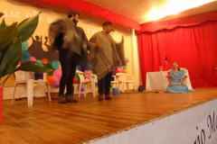 DSC08137
