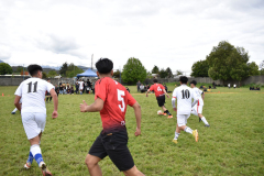 1_DSC_0586