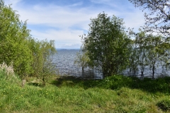 Limpieza-Humedal-Galdamez-12