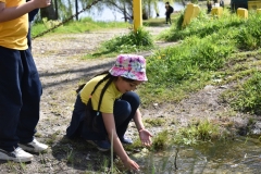 Limpieza-Humedal-Galdamez-14