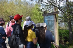 Limpieza-Humedal-Galdamez-15