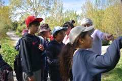 Limpieza-Humedal-Galdamez-16