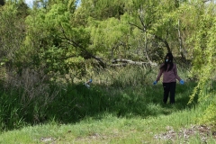 Limpieza-Humedal-Galdamez-34