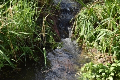 Limpieza-Humedal-Galdamez-38