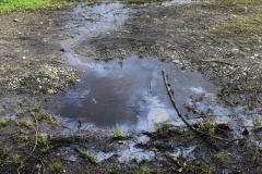 Limpieza-Humedal-Galdamez-51