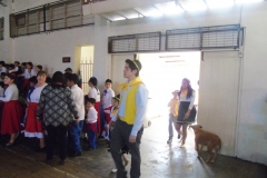 DSC05564