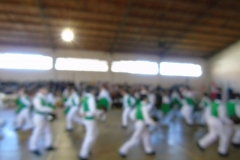 DSC05733