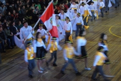 DSC06009
